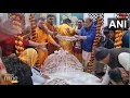 Bihar Panchami Bliss: Join the Crowds at Nidhivan and Banke Bihari Temple | News9