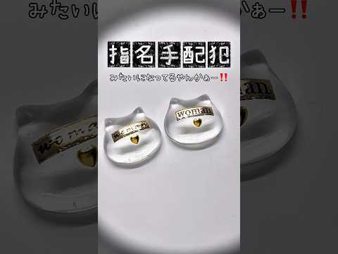 指名手配犯みたいになってるやんかー🐈‍⬛