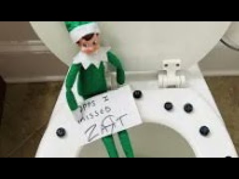 BAD ELF CAUGHT ON THE POTTY!