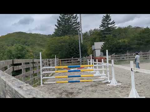 売約済*2才牝 ブライダルブーケ 2025/09/20