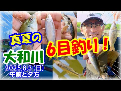 【真夏の小物釣り♪】ヤバい！ダイソーレンジャー＆のべ竿で色々な小魚を釣ってみた！エサはミミズとマルキューの九ちゃん練りエサ！オイカワ・ギル・カマツカ・スゴモロコ・ニゴイ・鯉っ子