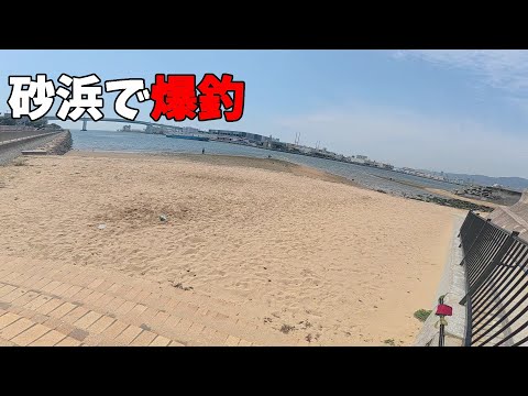 こんな砂浜でルアーフィッシングしたらとんでもなく釣れます。
