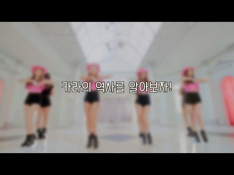카라의 역사를 알아보자! (재업로드)
