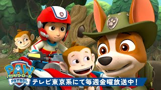 動画サムネイル