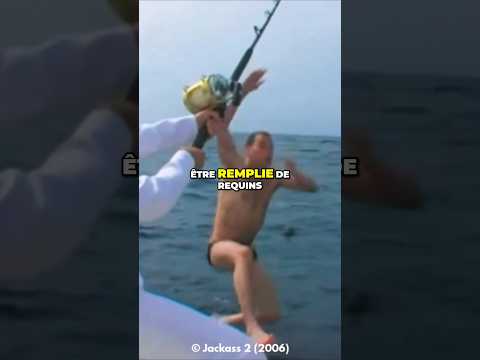 Est-ce que le Requin mako est dangereux pour l’Homme ? 💀 #requin #shark #ocean #animal