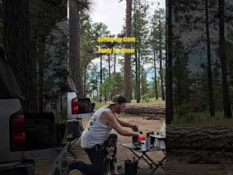Getting ready to cook camp dinner #puppy #outdoors #camping #shorts