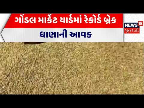 Gondal Market Yard | ગોંડલ માર્કેટ યાર્ડમાં રેકોર્ડ બ્રેક ધાણાની આવક | Rajkot | Agriculture News