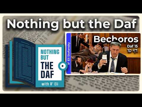CHAZARAH - Bechoros Daf 15 | "Nothing but the Daf" with R' Eli Stefansky