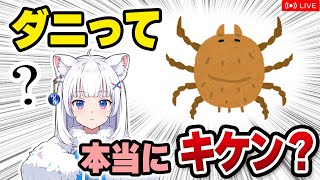 【獣医が解説】ダニの運ぶ病気でヒトが死ぬ!? ダニは危険なのか【北国ここなの動物研究室】