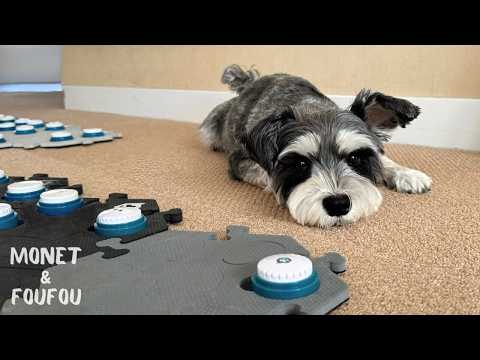 ママの言葉を思い出した犬、賢すぎる😳！