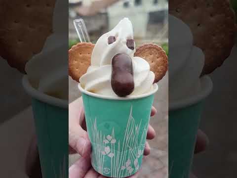 愛媛県とべ動物園：見どころとグルメスポットを楽しもう サムネイル