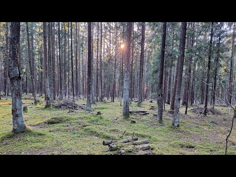 RRandom - I am playing on Synthesizers | Semi Modular music jam