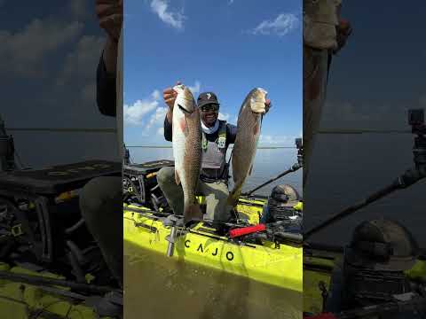Doubled up reds baby! Sight-casting is by far the most elite way to fish! # video thumbnail