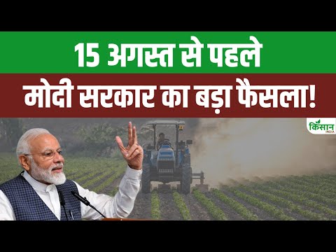 Modi Cabinet Meeting का बहुत बड़ा फैसला | Breaking News | Ujjwala Yojana | News । Gas Subsidy