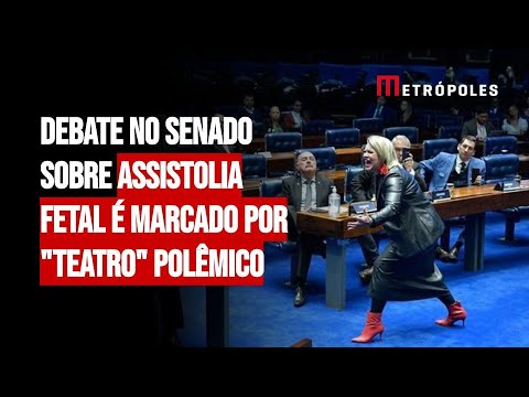 Debate no Senado sobre assistolia fetal é marcado por "teatro" polêmico