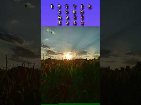 Exeter Corn Maze 2025