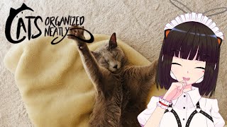 【Cats Organized Neatly】ただいま【復帰配信】