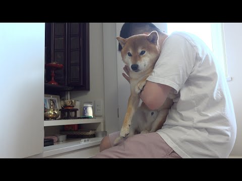 明日手術です、闘ってきます。 サムネイル