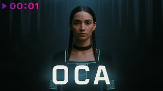 ОСА — Зверобой трава | Альбом | 2025