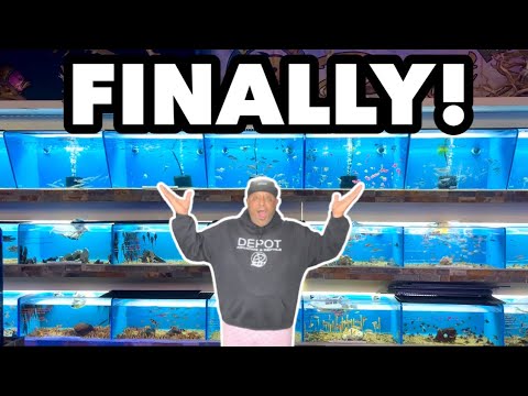 I’VE BEEN LOOKING FOR THIS FISH FOR OVER A YEAR! AQUARIUM/REPTILE DEPOT
YouTube
 https_//www.youtube.com/channel/UCvATv4gp3ZR9jXI1wBt7INg
INSTAGRAM
h