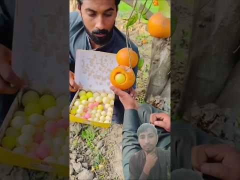 Orange mein rasgulle #khizaromer