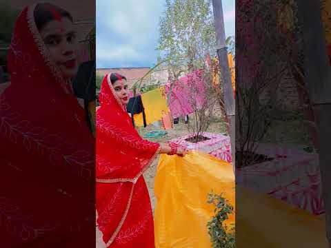 Tulsi puja ❤️🙏🏻🌲......#trending #love #subscribe #song #viral