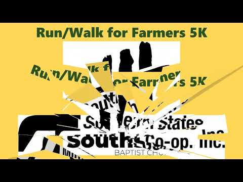 Race Video