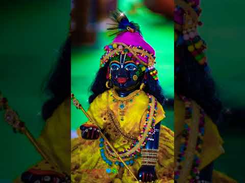 নাড়ু গোপাল 💙🦚#narugopal #gopal #gopalpuja #krishna #song