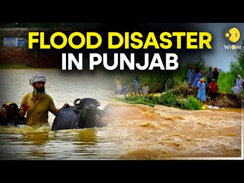 Punjab Floods LIVE: Punjab Hit By Worst Floods In Decades, Over 1200+ Villages Destroyed | WION