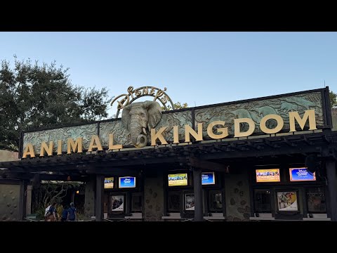 DisWiz Dollars is live at Pandora The World of Avatar!#disney #avatar