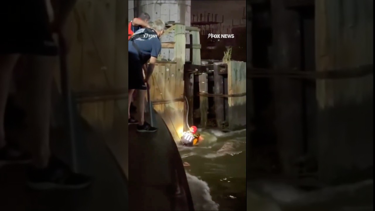 JARRING footage shows firefighter saving person pinned against bridge #foxnews #news #shorts