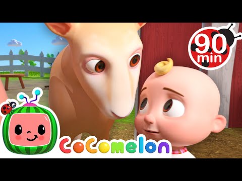 Baa Baa White Sheep Runs Away!🐏 | CoComelon | Animals for Kids | Sing Along | Learn about Animals