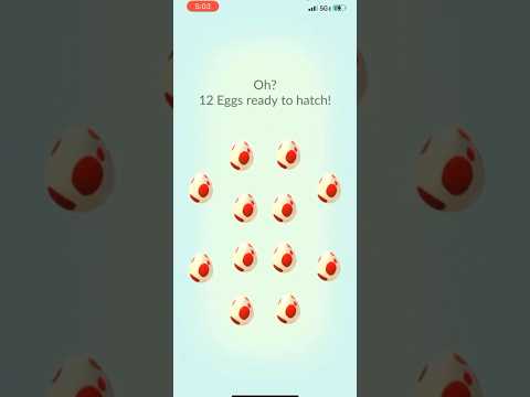 卵12万個の孵化結果とレアアイテム・ポケモン紹介 サムネイル