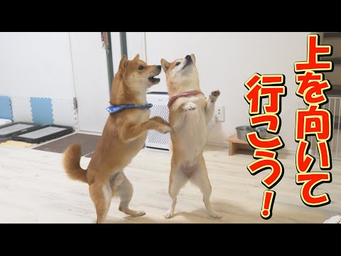 重苦しい日々を乗り越え、みんなが笑顔でありますように・・・ サムネイル