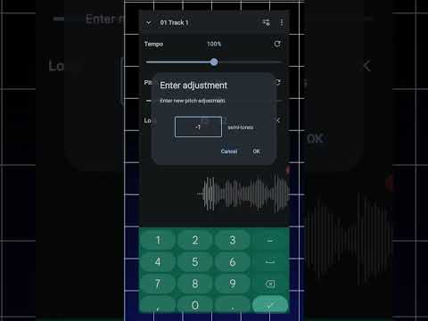Why use this app for practice? #app #music #speed #changer #practice #guitarlesson #ashok
