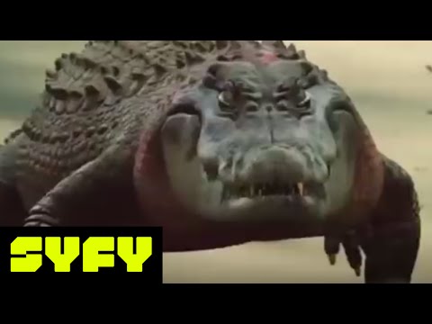 Ragin Cajun Redneck Gators'