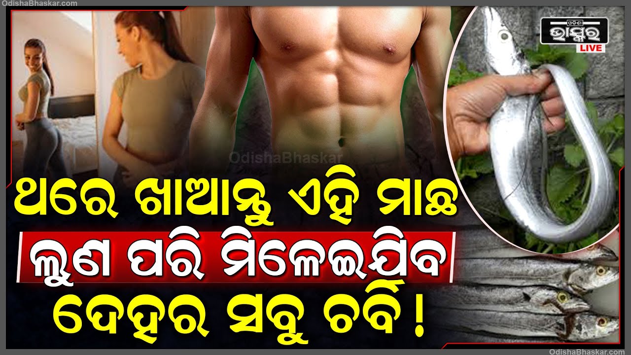 ମେଦବହୁଳତା ପାଇଁ ଚିନ୍ତିତ ଅଛନ୍ତି କି, ତେବେ ଖାଇବାରେ ମିଶାନ୍ତୁ ଏହି ମାଛ | ରହିବେ ସଂପୂର୍ଣ୍ଣ ଫିଟ୍ |