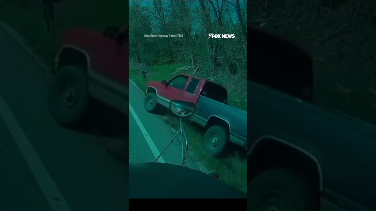 WATCH: Jarring video shows truck dangerously passing school bus near kids #shorts #us #news #viral