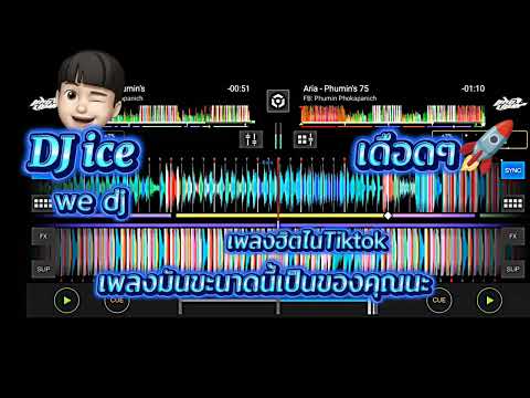 #กําลังฮิตในtiktok #สายปาร์ตี้2025🚀#ฟิวส์คอลลาเจน #เดือดฯ #เพลงมาไนล้าสุด #wedj 