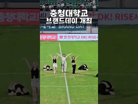 대체텍스트