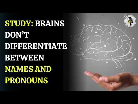Study  Brains don't differentiate between names and pronouns | WION Podcast