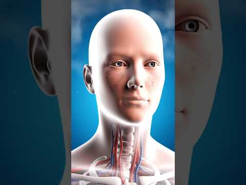 Sau 23h chưa ngủ - Cơ thể bạn đang âm thầm " xuống cấp" #dinhduong #suckhoetot #antoan #wellness