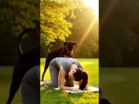 Sharing Yoga with My Gentle Friend #puppy #goldenretreiver #goldenretriever #goldenretreivers