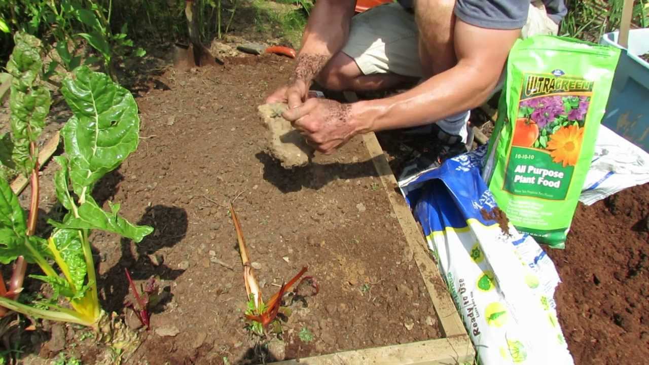 1 of 3 planting radishes preparing the soil and seed spacing my 1st