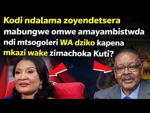 Kodi ma bungwe omwe amayambitsidwa ndi mtsogoleri wadziko kapena mkazi wake ndalama zimachoka kuti?