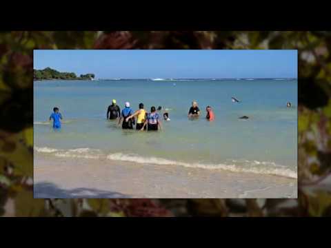 Nou Rasinn - Early Morning Swimmers