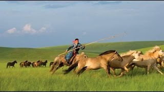 Amar: Mongolia