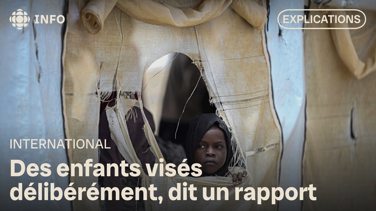Soudan : Amnistie accuse les paramilitaires de « nettoyage ethnique » | D'abord l'info
