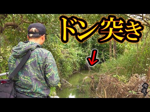 水路の行き止まりに追い詰められた魚を狙ってみると…。