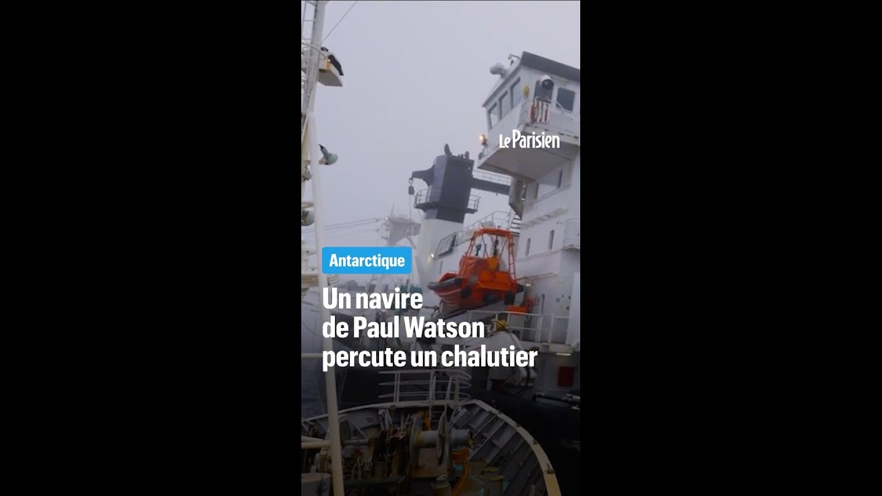 Un navire de Paul Watson percute délibérément un chalutier